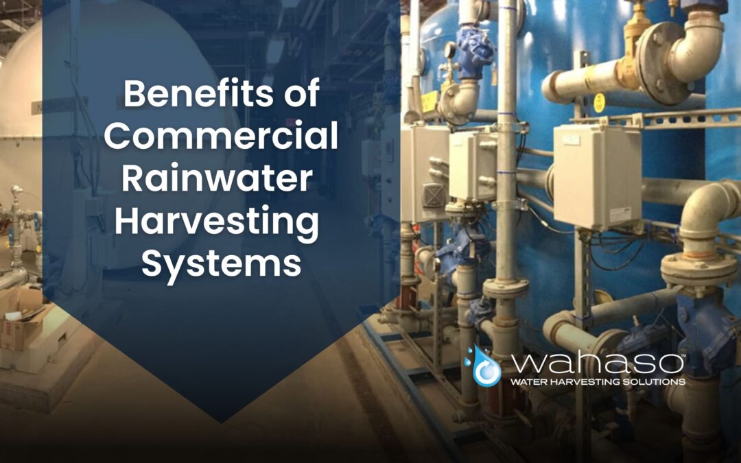 Benefits of Commercial Rainwater Harvesting Systems