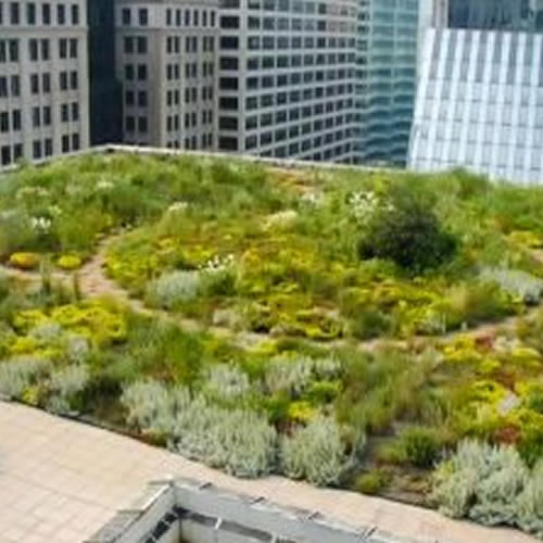 wahaso-best-green-roof-water-harvesting-systems-1